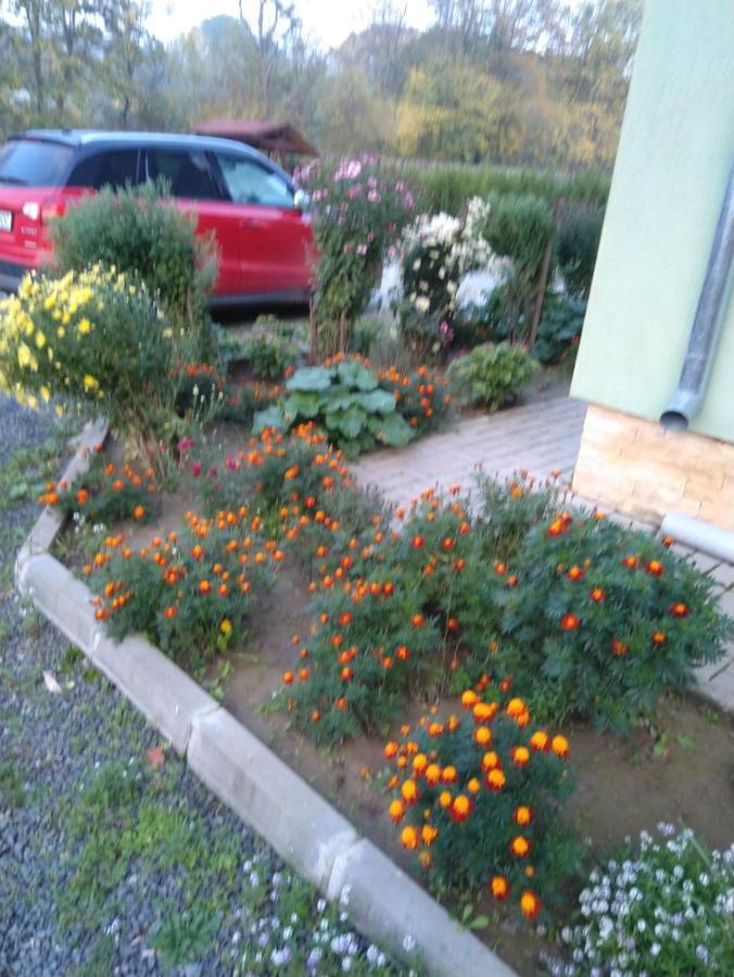 Agropensiunea Cetatuia Luncavita المظهر الخارجي الصورة
